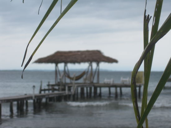 Da baumelt die Seele beim Foto schauen schon ganz aufgeregt vor sich hin