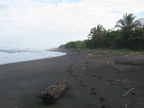 Mein persoenlicher Strand/Garten/Joggingstrecke/Arbeitsplatz/Zuhause/Abendtreff und Spaziergangstrecke