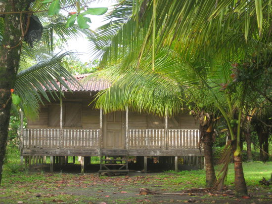 das Karibik-Traumhaus zum Greifen nah