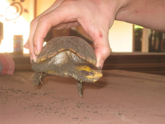 ...und alles um diesen kleinen Rackern ein schoenes Leben zu ermoeglichen