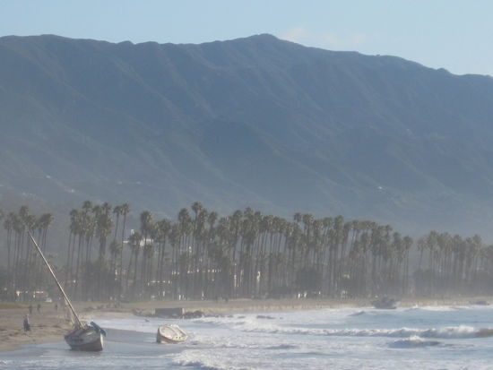wenn das nicht Natur pur ist, nur ein paar Meter von der Millionenstadt Los Angeles und ihrem Laerm, Muell und Hochhausern entfernt