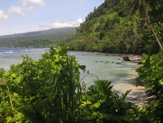 "Gruen, Gruen, Gruen sind alle meine Waelder, Blau, Blau, Blau sind alle meine Meere..."