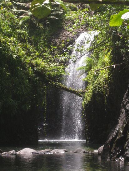 ohne Worte... naja doch vielleicht zwei kleine: "ganz nett"