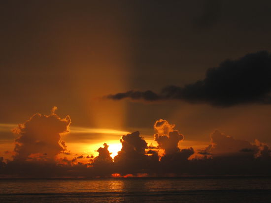 (diesmal wirklich ohne Worte)