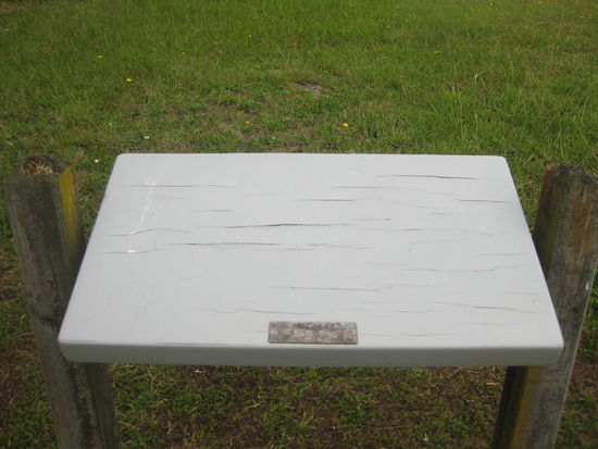 ja gut, dass mit den informativen Tafeln muessen sie noch lernen hier unten, es sei denn, dass ist mehr so ein dauerhaftes Gaestebuch, in das halt noch keiner reingeschrieben hat...