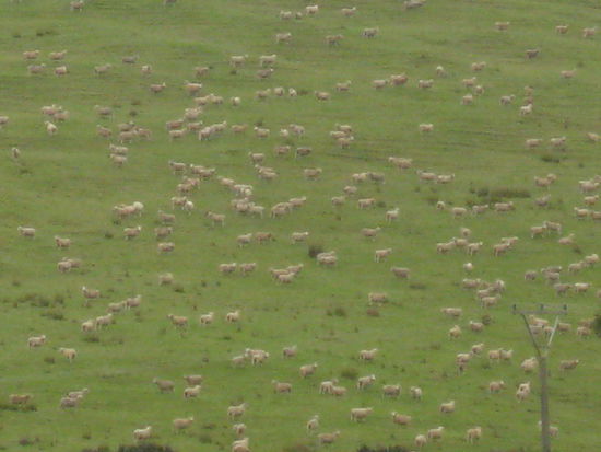 wie soll man denn da jemals zu irgendwas kommen, als schlafloses Kind?