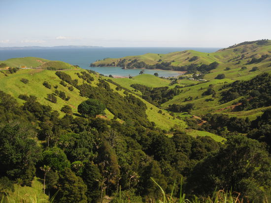 neusee- und gras- und baumland, wies im buche steht