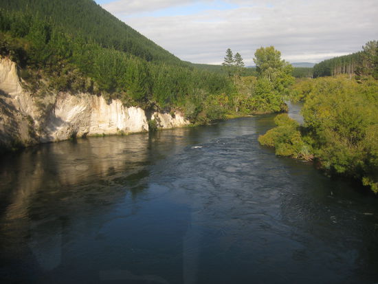 eine schande, dass sowas schoenes auch hier immer wieder abgeholzt werden muss, damit IKEA nicht pleite macht