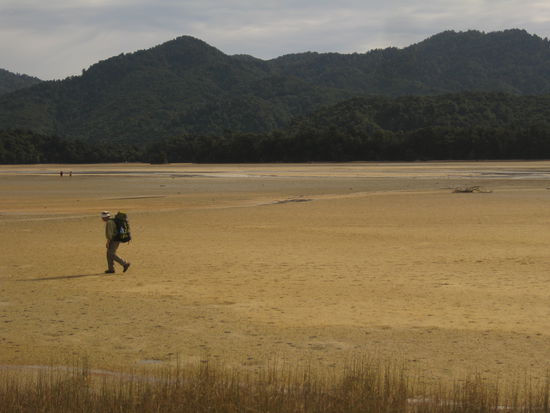 Das gute an dieser feuchten Jahreszeit ist, dass niemand hier wandern geht, der nicht ganz richtig im Kopf ist und deshalb hat man die Natur weitestgehend fuer sich und die kann was hier oben, besonders wenn der Nebel aufzieht und man schon befuerchtet, dass gleich riesige schwarze "Nazgul" vom Himmel schiessen und einem den einen Ring entreissen wollen...