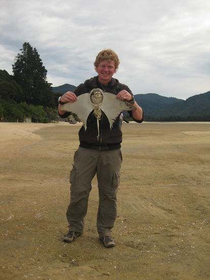 Der kleine Rochen hier hat das mit den Gezeiten hier auch unterschaetzt, was mir Warnung genug war, die Ebene schnell zu ueberqueren...