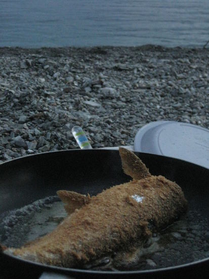 da hinten aus dem Wasser ist er praktisch frisch rausgesprungen und hat sich fuer unser Abendmahl geopfert, danke Nemo!