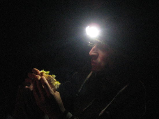 schliesslich isst das Auge mit 