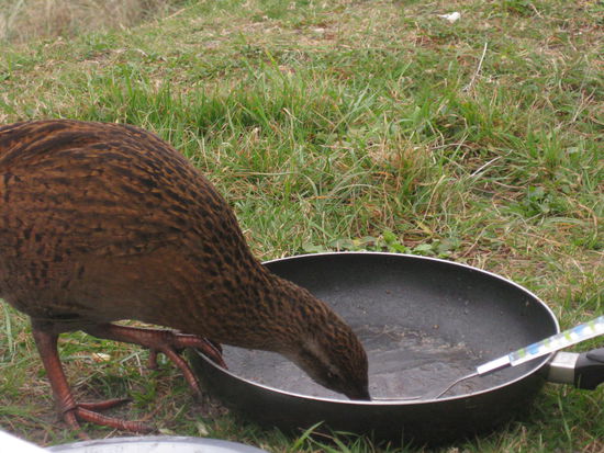 da reicht man ihm den kleinen Finger und dann wird schamlos ausgenutzt!