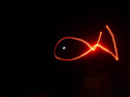 Aber auch den neuseelaendischen Nachtfalter-Fisch sollte man nicht unerwaehnt lassen!