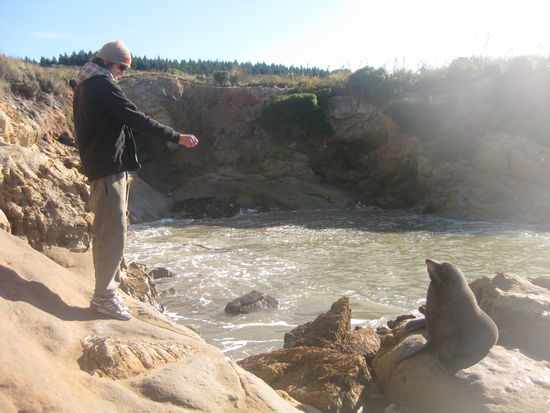 na, du kleiner? na, komm her. dutidutiduti...