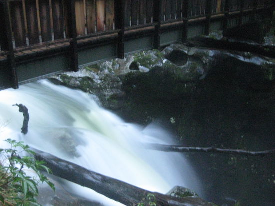 wenn man dann mal naeher an einen dieser Wasserfaelle herankommt, merkt man erstmal, was fuer eine Kraft dieses Wasser hat, wenn es sich entschlossen einen Weg ins Tal sucht