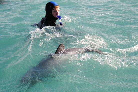 Da guckt er aber der eingefrorene Brian und auf einmal sehen die auch gar nicht mehr sooo klein aus 