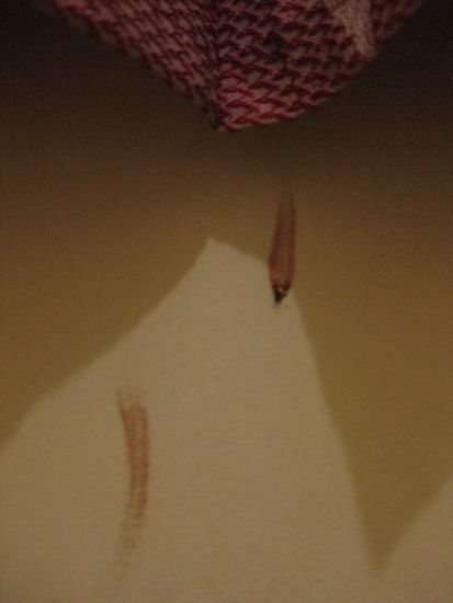 Im Vollsuff leider das Zeitliche gesegnet die Kleine 