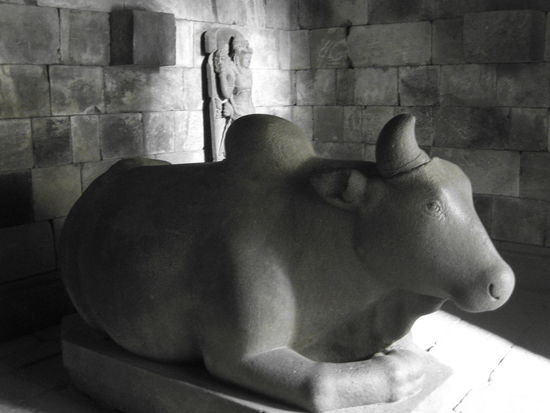 und natuerlich die heilige MILKA-Kuh, allerdings hart wie Granit und mit einem Dromedar-Buckel auf dem Ruecken, da ist mir die mit Schokolade drin auf der Alm doch lieber...