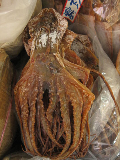 na den Kumpel erkenn ich doch noch, das ist doch diese kleine Wahrsager-Leuchte, die alle WM-Ergebnisse vorausgesagt hat!