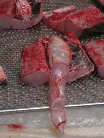 was er oder sie (oder es?) mal gemacht hat im richtigen Leben kann ich beim besten Willen nicht sagen 