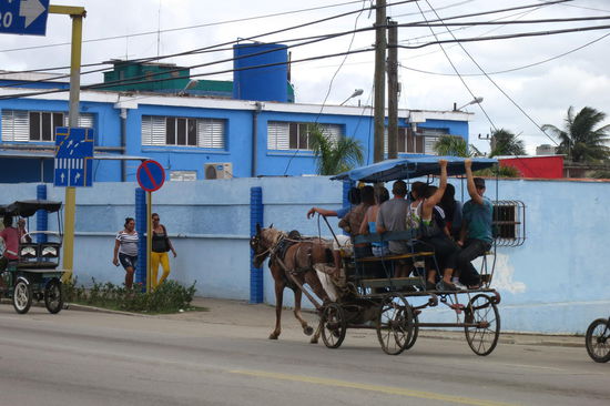 Die Öko-Variante, damit die CO²-Bilanz nicht aus den Fugen gerät?