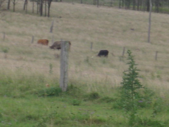 Leider mochten sie meine Kamera net so gerne!