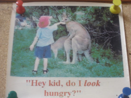 Hier mal der typische Humor der Australier!