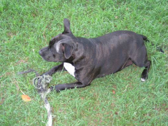 Sie war so eine Suesse! Nicht neidisch sein, Ronnie!