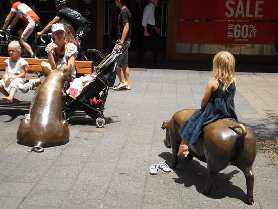 und hier ein wahrzeichen von Adelaide Aber die sind wirklich suess. Und sie passen auf, dass kein anderes Schwein seine Sachen liegen laesst!