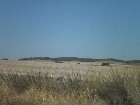 Die Landschaft um Freeling!