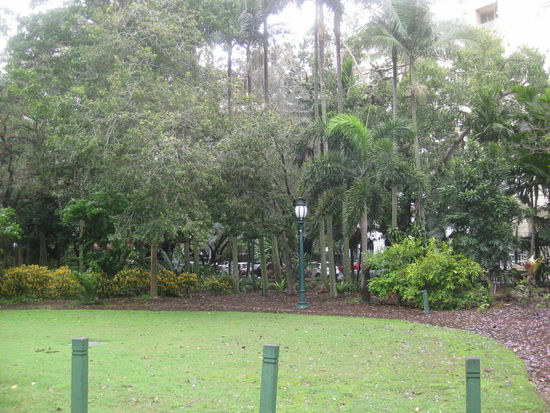 Der Botanische Garten, leider ohne viel Sonnenschein