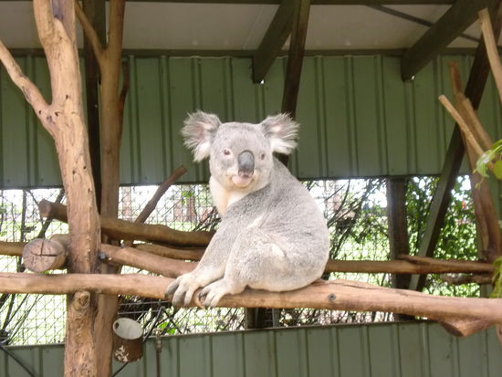Er war der einzige, der uns einen Blick gegoennt hat, alles anderen waren mit Essen beschaeftigt
