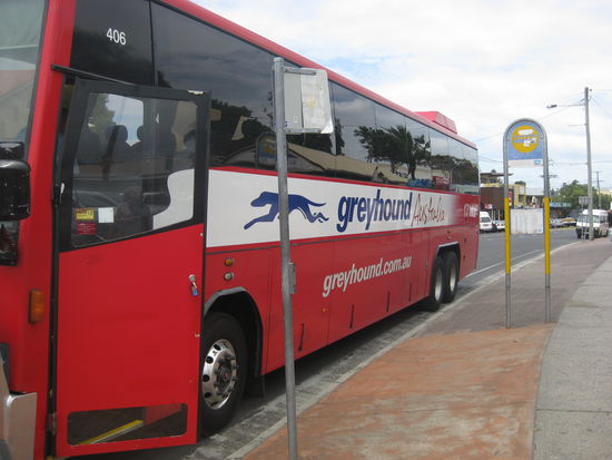 Hier ein Greyhoundbus! Und da fahren wirklich viele!