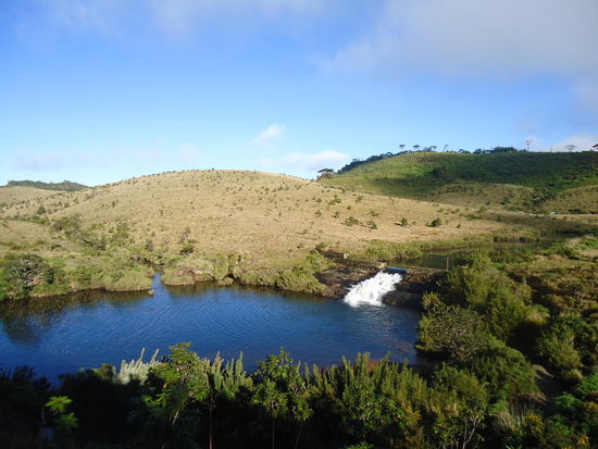Echt cool, oder?? Einfach wunderschön.