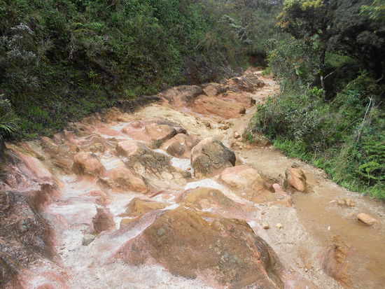 Hier das Flussbett, des auch gleichzeitig der Wanderweg war.