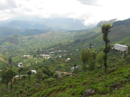 Das Hochland Sri Lankas