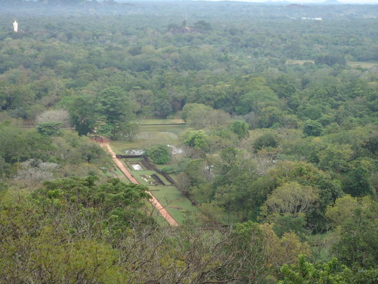 Die Aussicht auf den Garten von oben