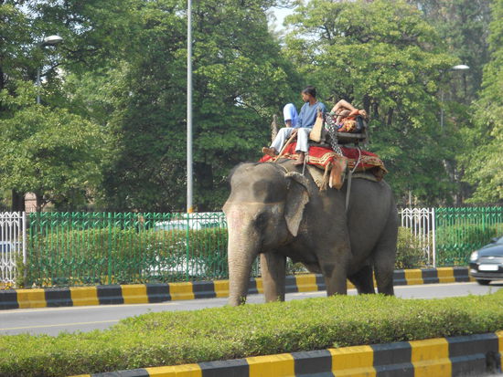 Will auch so einen haben!