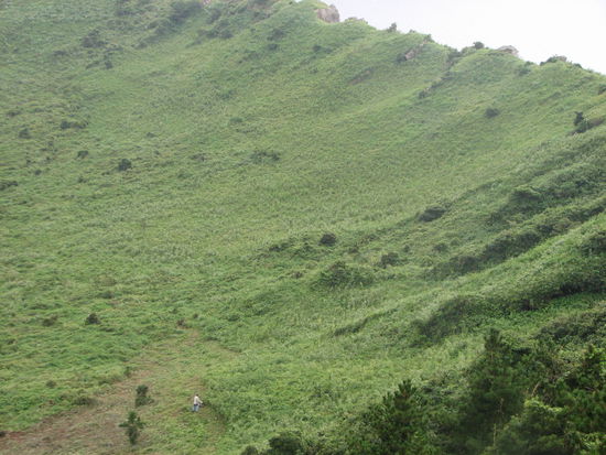 einsam einsam, aber fleißig... Was für Sorgen und Gedanken hat man wohl da unten?