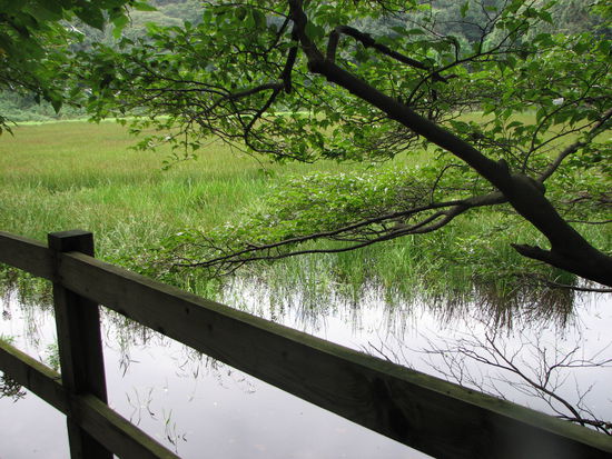 Ein ruhiger Vulkansee. Erinnerte mich durch seine unberührte Natur an Conan Doyl s  "Lost World"