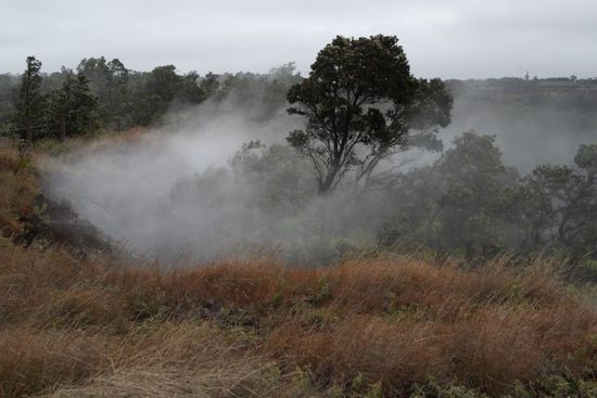 Steam vents plume