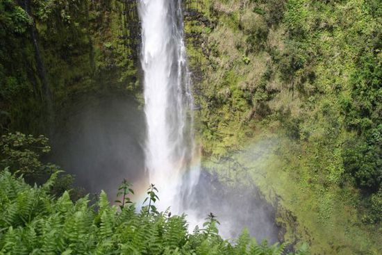 Akaka Falls 129 m