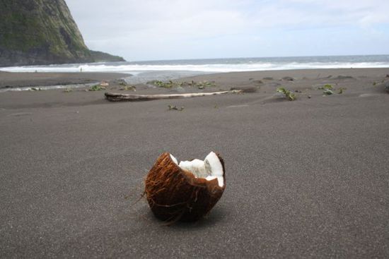 im Waipi'o Valley