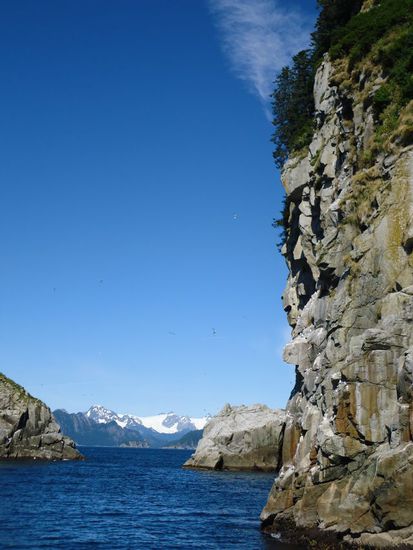 Wir haben uns dazu enschieden eine Glacier Tour von Seward (südlich von Anchorage) aus zu unternehmen. Wir sind mit dem Boot zu einem Gletscher, dem Northwestern Glacier gefahren.