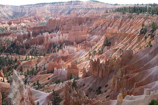 Bryce Canyon im US Bundesstaat Utah.
