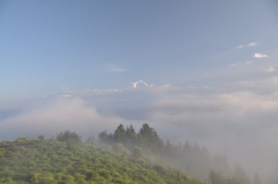 Poon Hill &gt; Dhaulagiri