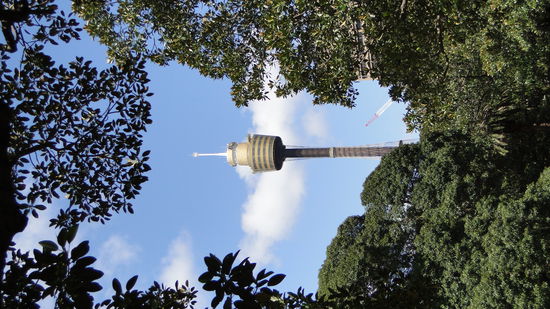 CEDES Turm von Sydney 