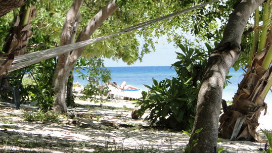 Ausblick von der Haengematte