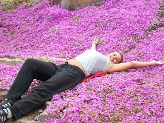 Frühling in Argentinien - alles blüht